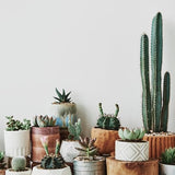 Pure Original Ingredients Potting & Garden Sand (2 lb) Add to Planters & Soil Patches, Helps Retain Moisture
